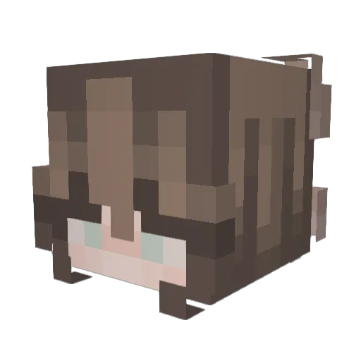 lol3rpol3r Minecraft avatar head, 3D render