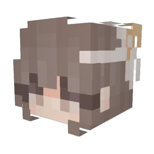 lolZ19 Minecraft avatar head, 3D render
