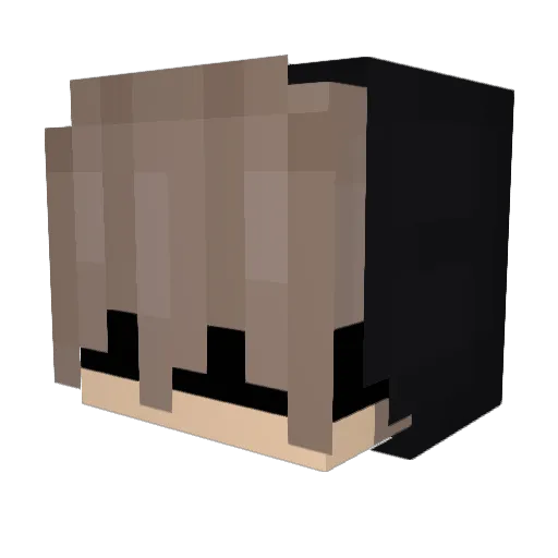 lol_12333 Minecraft avatar head, 3D render