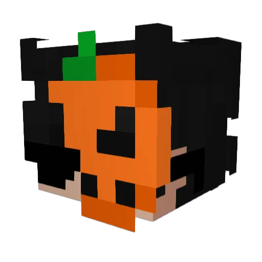lol_QyAUI_1104 Minecraft avatar head, 3D render
