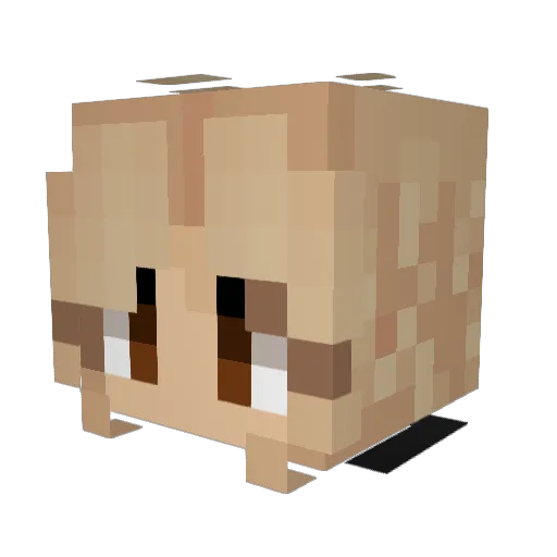 loladwyer Minecraft avatar head, 3D render
