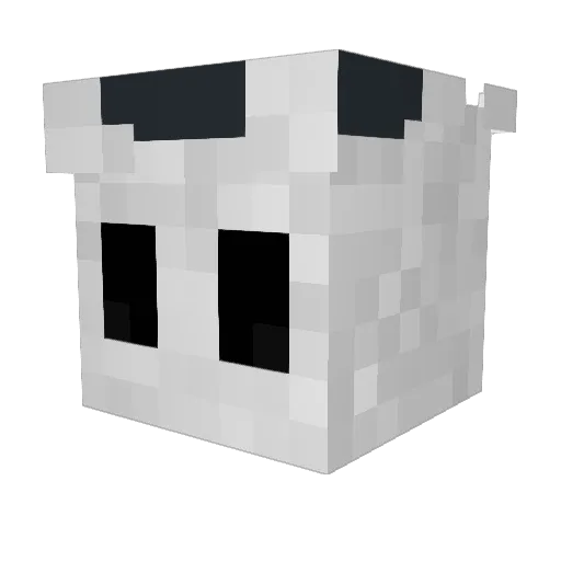 lolbranamn Minecraft avatar head, 3D render