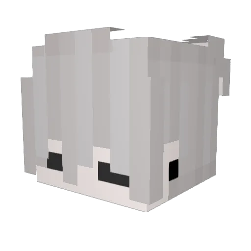lolcaspeer Minecraft avatar head, 3D render