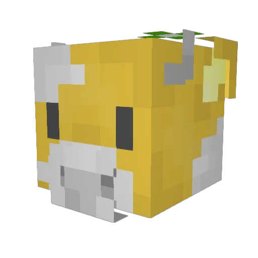 loleranas Minecraft avatar head, 3D render