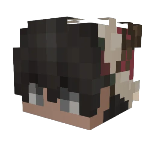 lolfrybi Minecraft avatar head, 3D render