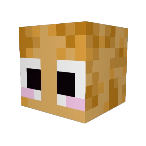 lolhi1234 Minecraft avatar head, 3D render