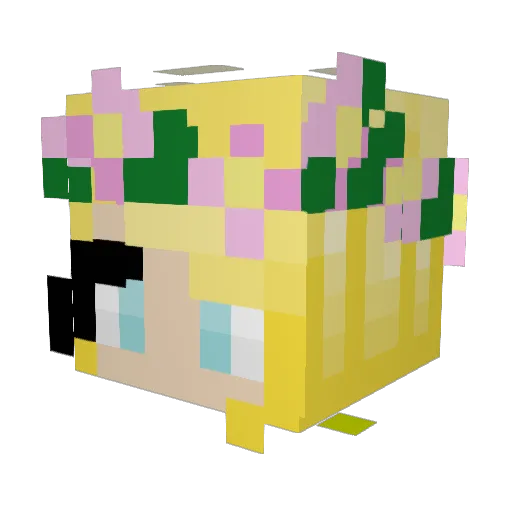 lolimapenguin Minecraft avatar head, 3D render