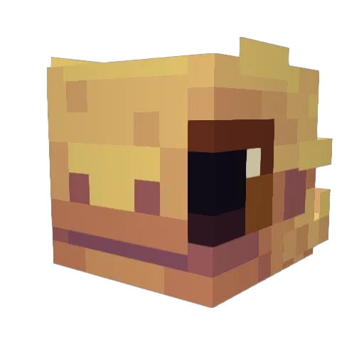 lolipop7478 Minecraft avatar head, 3D render