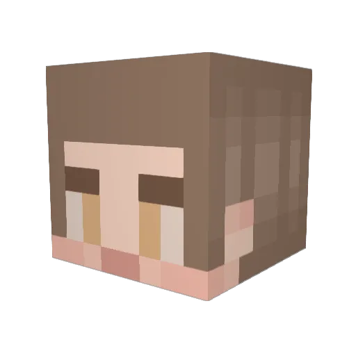 lollands_yeet Minecraft avatar head, 3D render