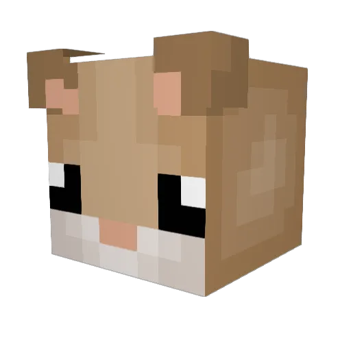 lolligelolbroek Minecraft avatar head, 3D render
