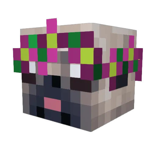 lollipop549 Minecraft avatar head, 3D render