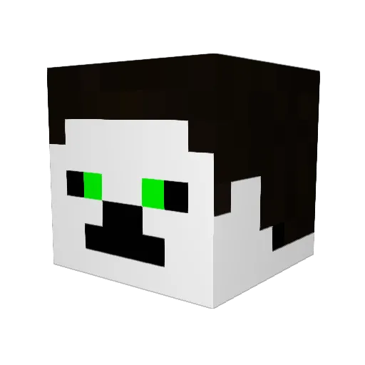 lolls3 Minecraft avatar head, 3D render