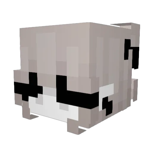 lollycat676 Minecraft avatar head, 3D render
