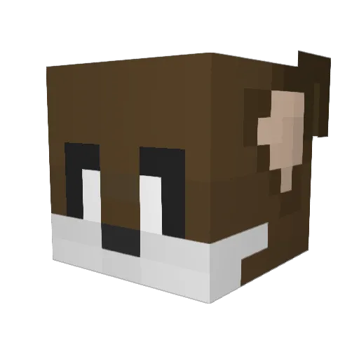 lolmatter0 Minecraft avatar head, 3D render