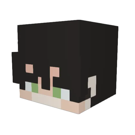 lolno454545 Minecraft avatar head, 3D render