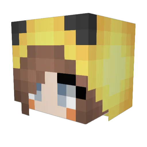 lolo2098 Minecraft avatar head, 3D render