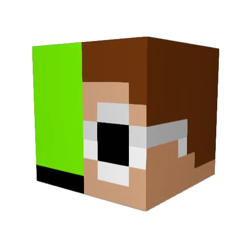 lologan19 Minecraft avatar head, 3D render