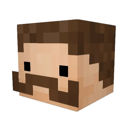 lolool00 Minecraft avatar head, 3D render