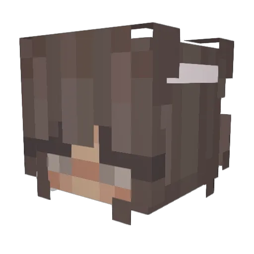 lolpotato247 Minecraft avatar head, 3D render