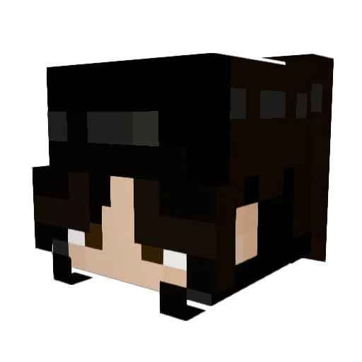 lolsphobia Minecraft avatar head, 3D render