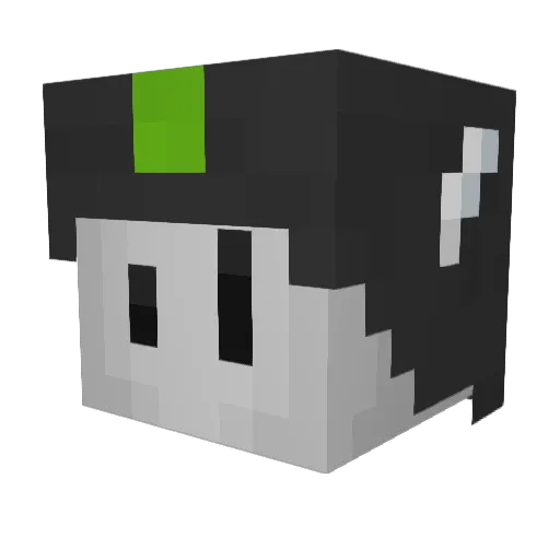 lolwut18 Minecraft avatar head, 3D render