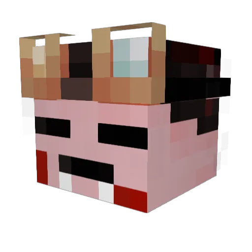 lolycatsj Minecraft avatar head, 3D render