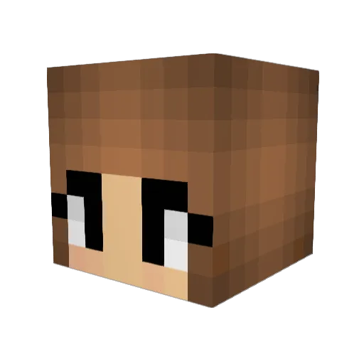 loma002 Minecraft avatar head, 3D render