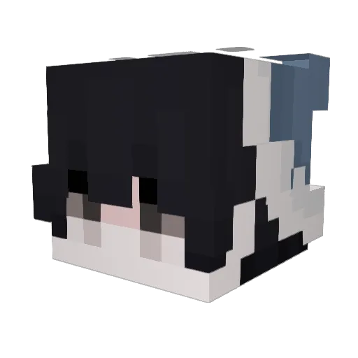 lomsie Minecraft avatar head, 3D render