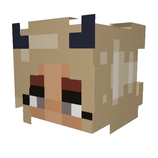 lonaviks Minecraft avatar head, 3D render