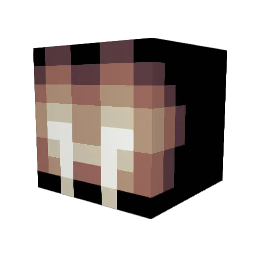 lonbon37 Minecraft avatar head, 3D render