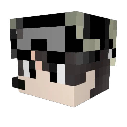 lonely_bamboo91 Minecraft avatar head, 3D render