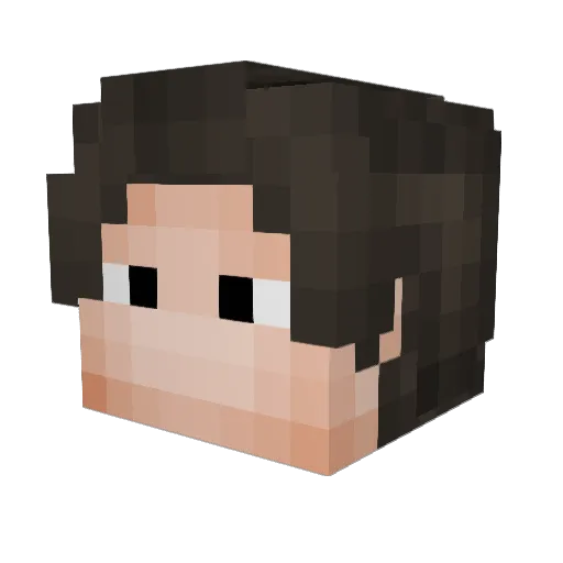 lonely_life Minecraft avatar head, 3D render