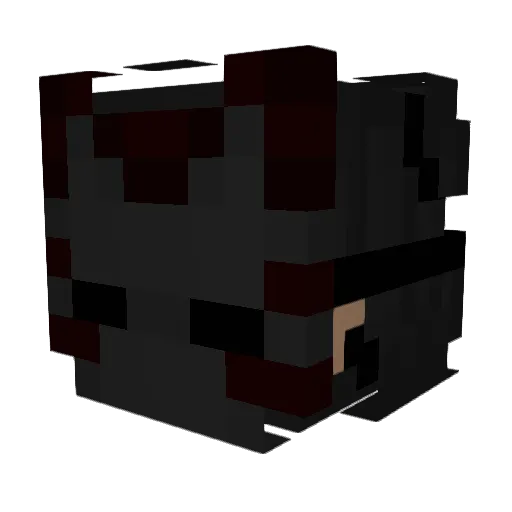 lonelyjackal Minecraft avatar head, 3D render