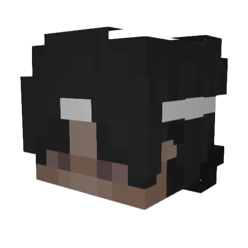 lonelymornings Minecraft avatar head, 3D render