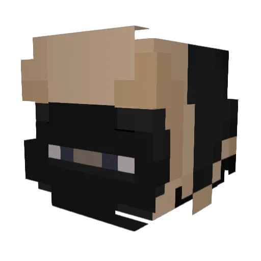 lonelysky7 Minecraft avatar head, 3D render