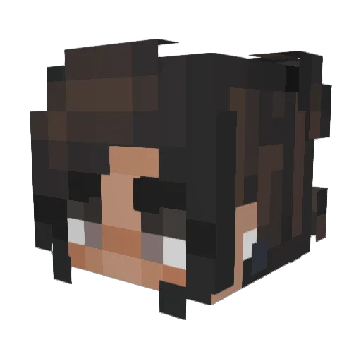 lonelysoupp Minecraft avatar head, 3D render