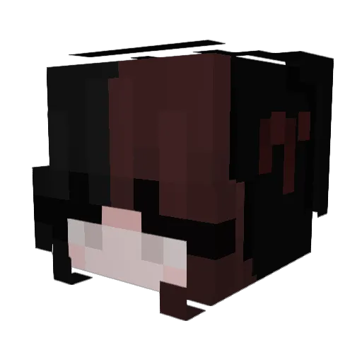 lonesomepup Minecraft avatar head, 3D render