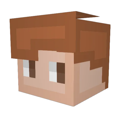 lonewolfsas1 Minecraft avatar head, 3D render