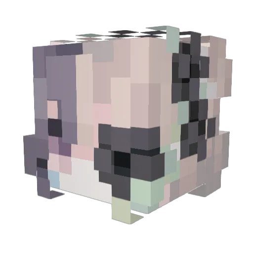 lonexiety Minecraft avatar head, 3D render