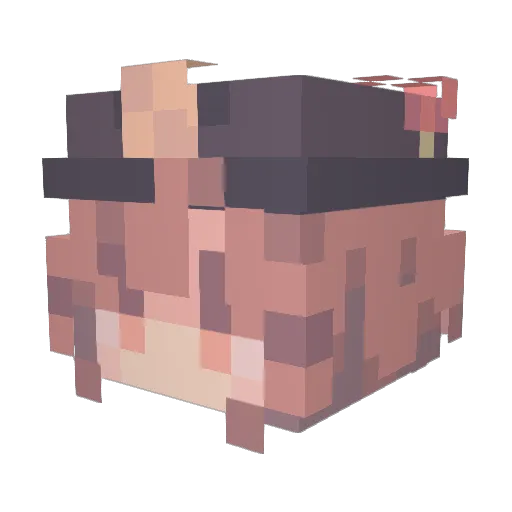 long3456 Minecraft avatar head, 3D render