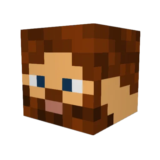 long_socks Minecraft avatar head, 3D render