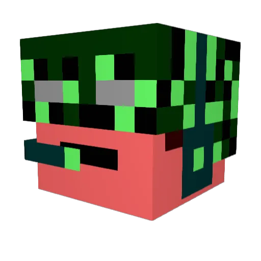 longboarder12 Minecraft avatar head, 3D render
