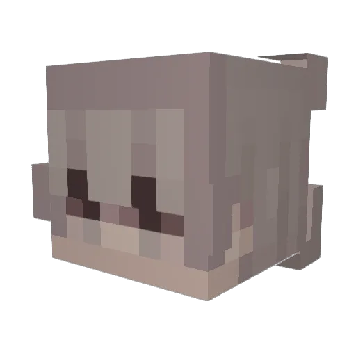 longbow1104 Minecraft avatar head, 3D render