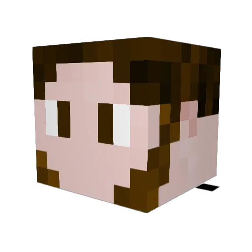 longbow2738 Minecraft avatar head, 3D render