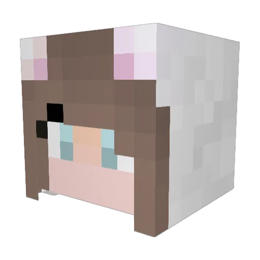 longboy666 Minecraft avatar head, 3D render