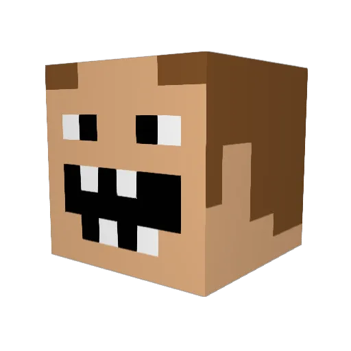 longschmeat69 Minecraft avatar head, 3D render