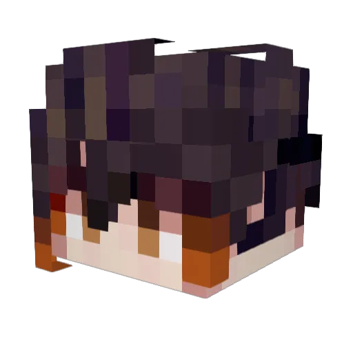 longshen1 Minecraft avatar head, 3D render