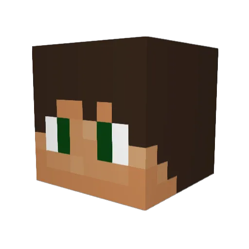 longshot773 Minecraft avatar head, 3D render
