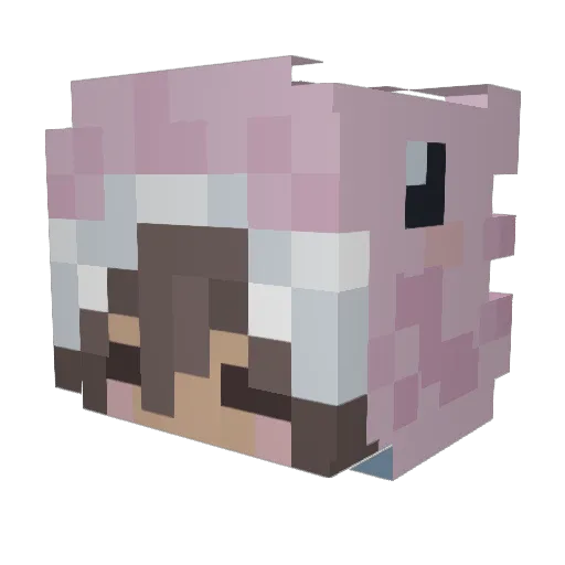 lonneborg Minecraft avatar head, 3D render