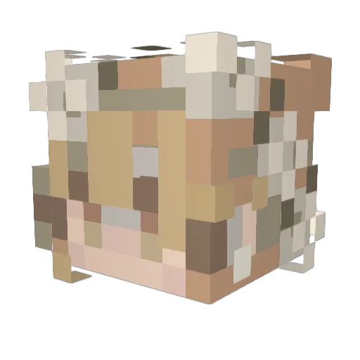 loobmiestyer Minecraft avatar head, 3D render